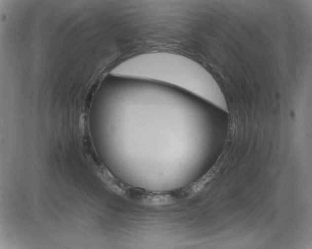 X0000083030716200702020918