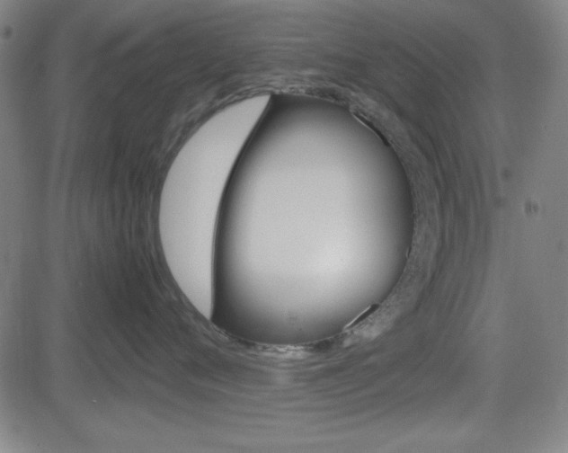 X0000083030720200702020918