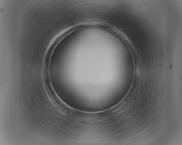 X0000083030724200702020917