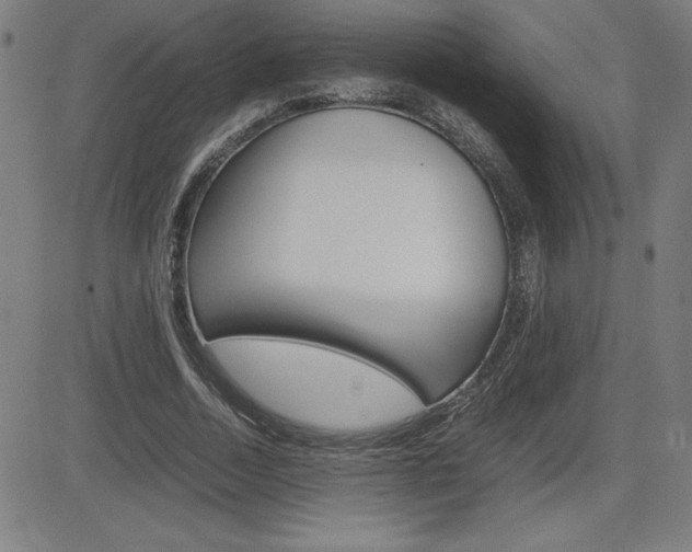 X0000083030730200702020917