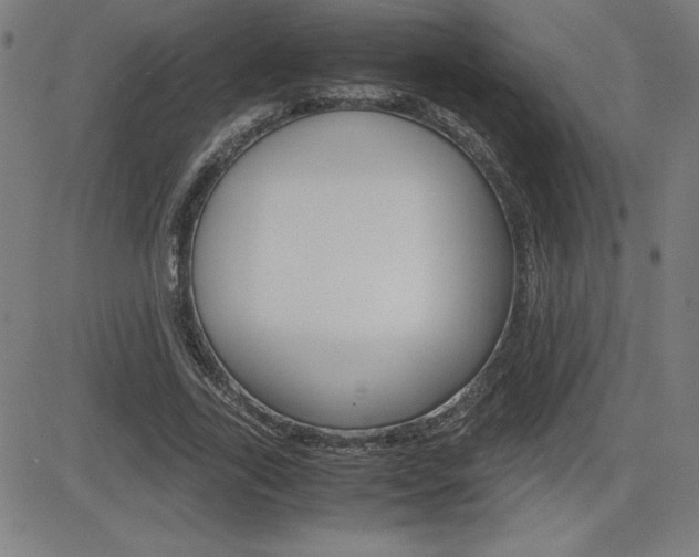 X0000083030731200702020917