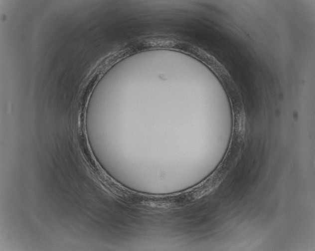 X0000083030733200702020917