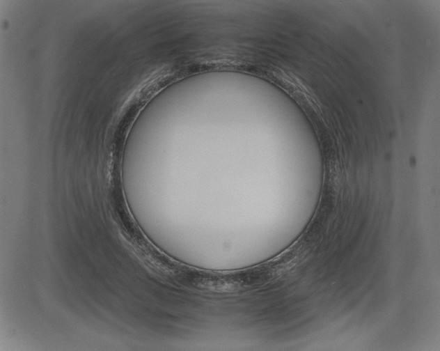 X0000083030735200702020917