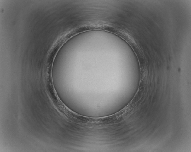X0000083030736200702020917