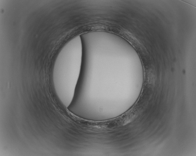 X0000083030737200702020917
