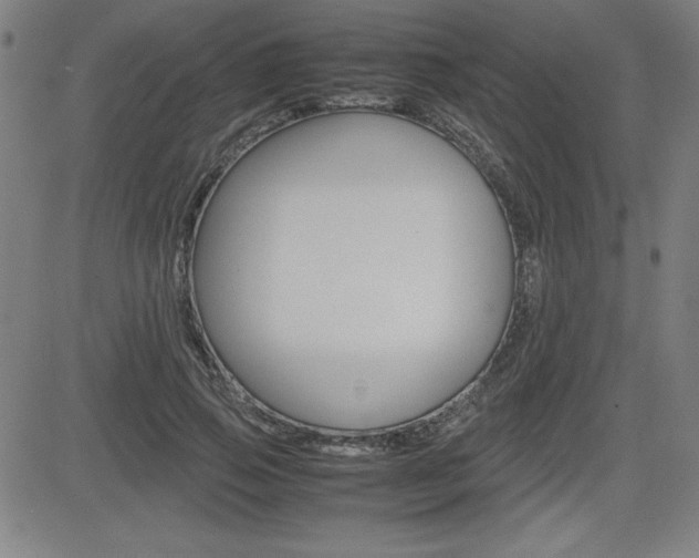X0000083030741200702020917