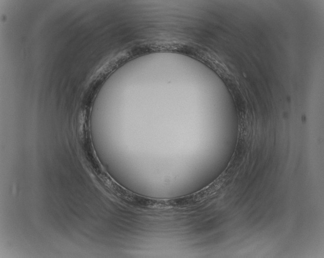 X0000083030742200702020917