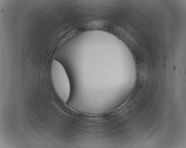 X0000083030745200702020917