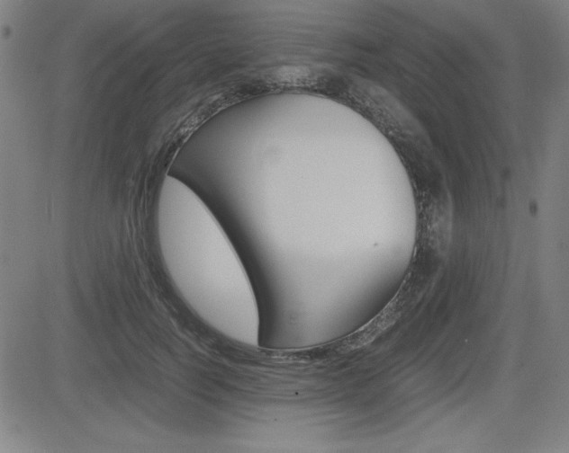 X0000083030746200702020917