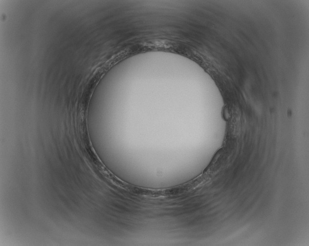 X0000083030747200702020917