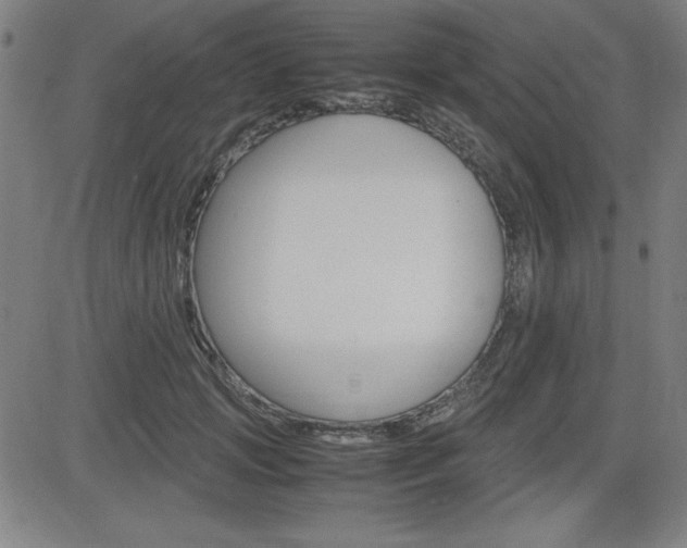 X0000083030749200702020917