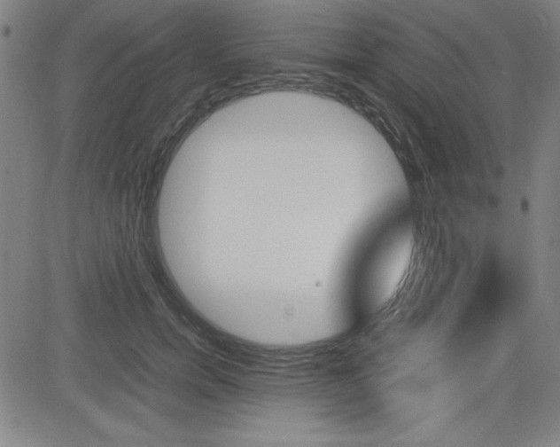X0000083030750200702020917