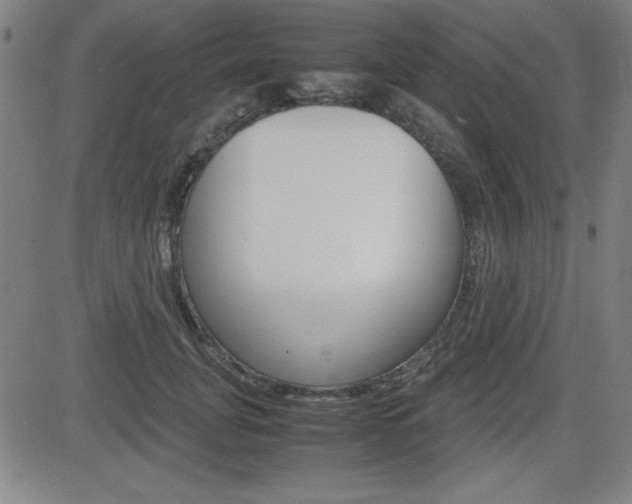 X0000083030751200702020917