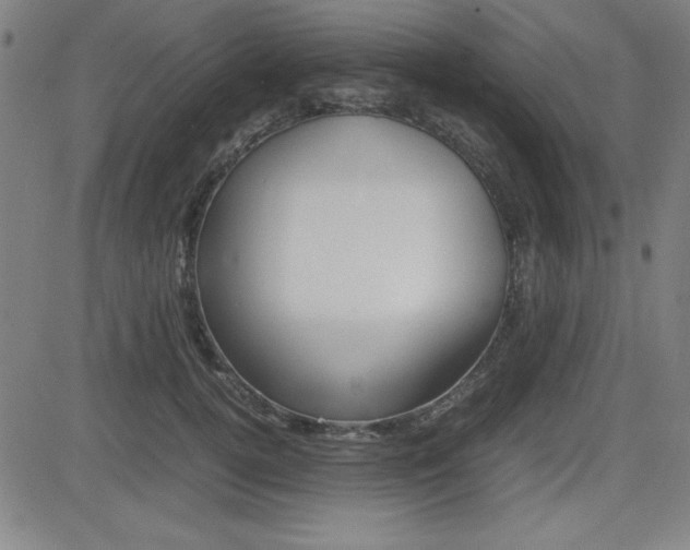 X0000083030752200702020917