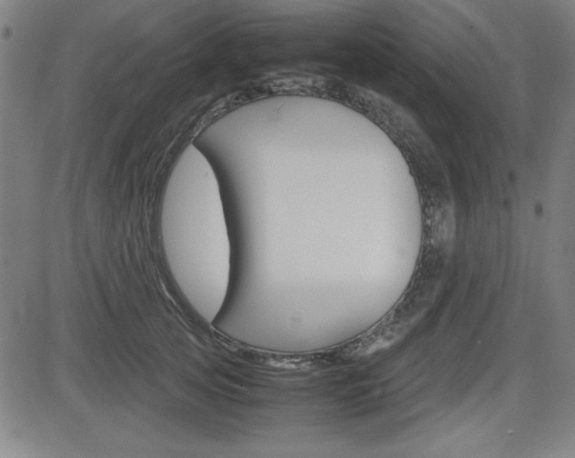 X0000083030753200702020917