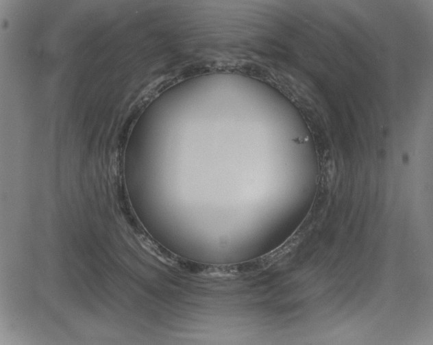 X0000083030756200702020917