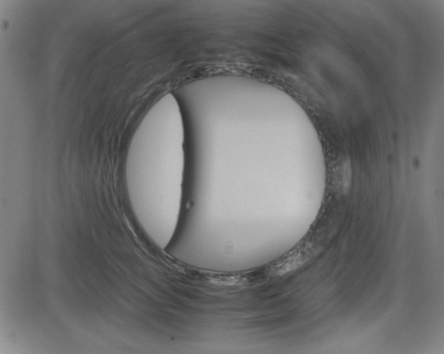 X0000083030757200702020917