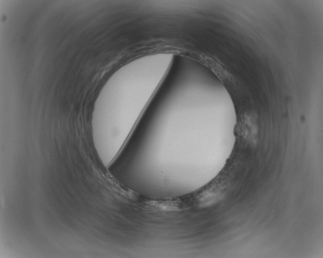 X0000083030763200702020917