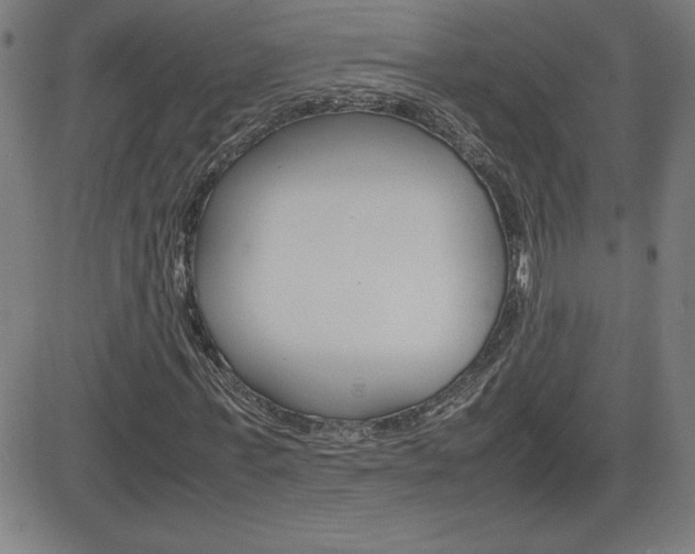 X0000083030771200702020917
