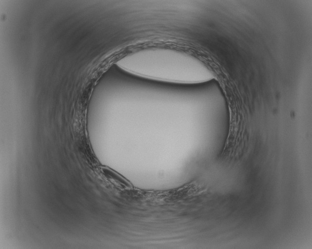 X0000083030773200702020917