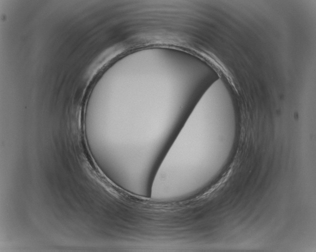 X0000083030790200702020916