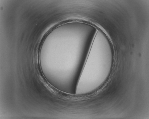 X0000083030791200702020916
