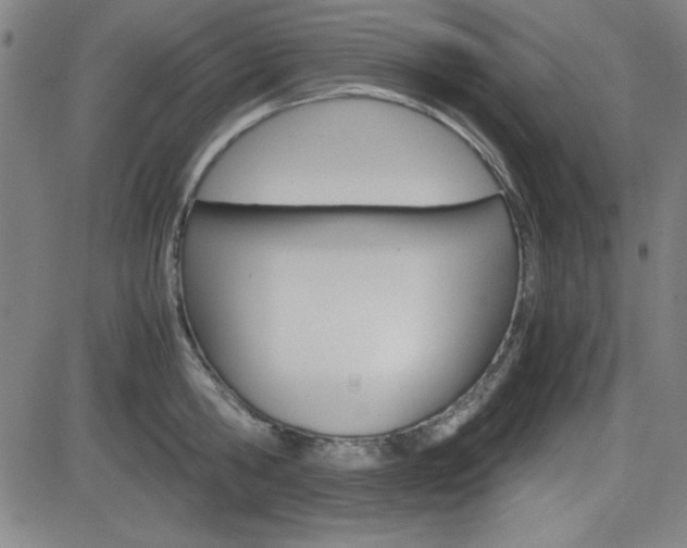 X0000083030806200702020916