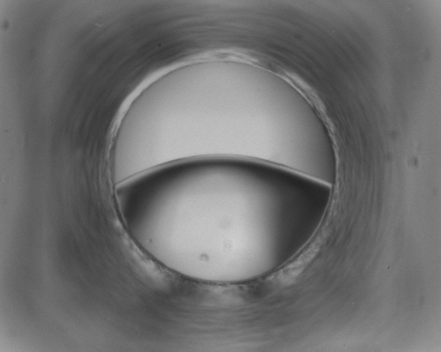 X0000083030816200702020916