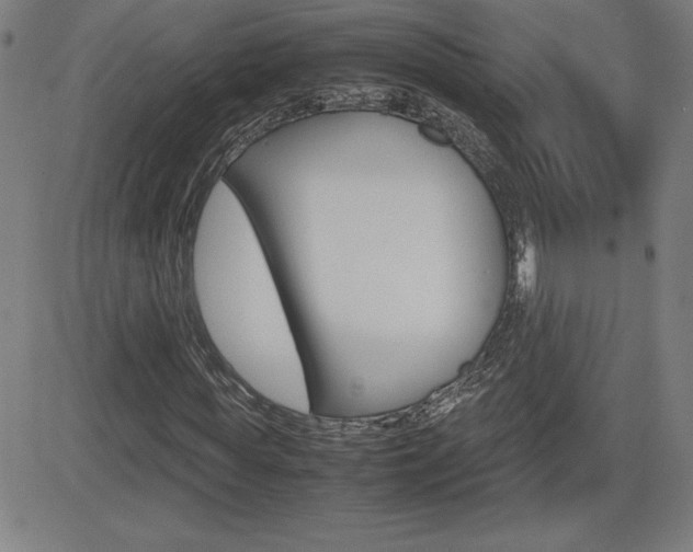 X0000083030819200702020915