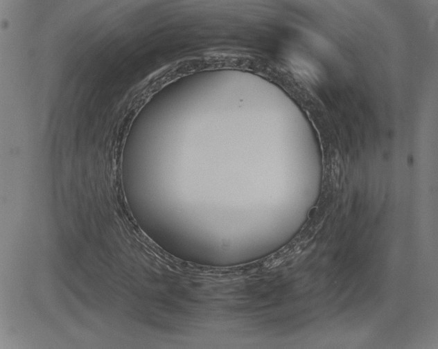 X0000083030821200702020915