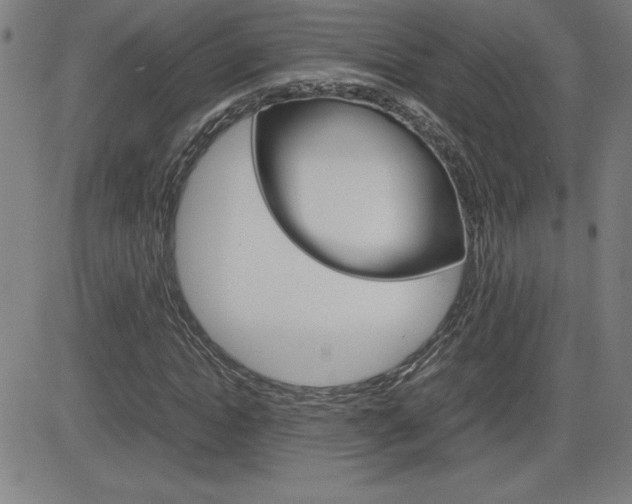 X0000083030822200702020915
