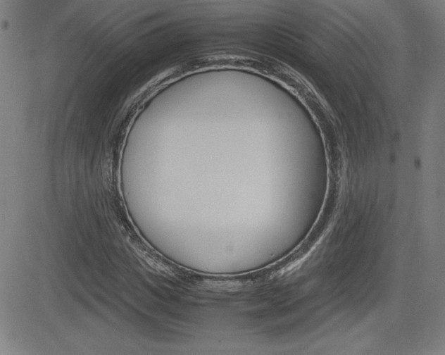 X0000083030825200702020915