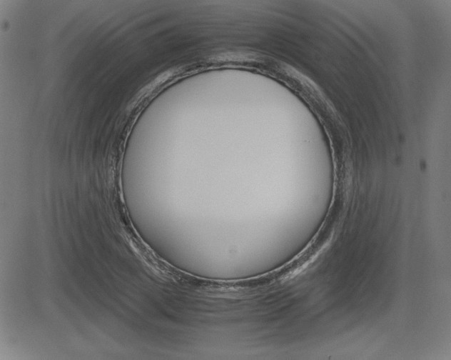 X0000083030833200702020915