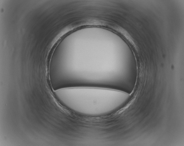 X0000083030837200702020916