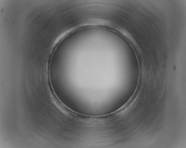 X0000083030842200702020916