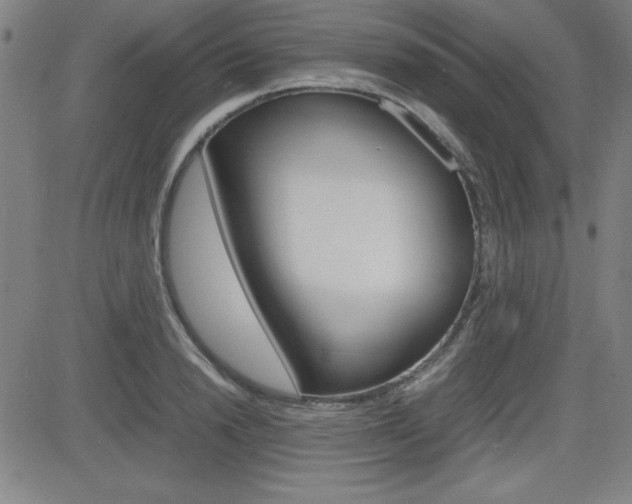 X0000083030846200702020916