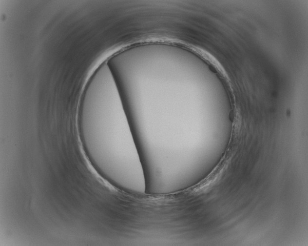 X0000083030847200702020916