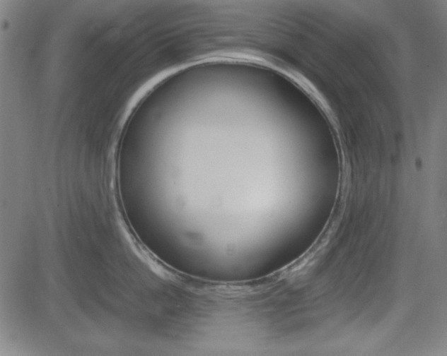 X0000083030862200702020916