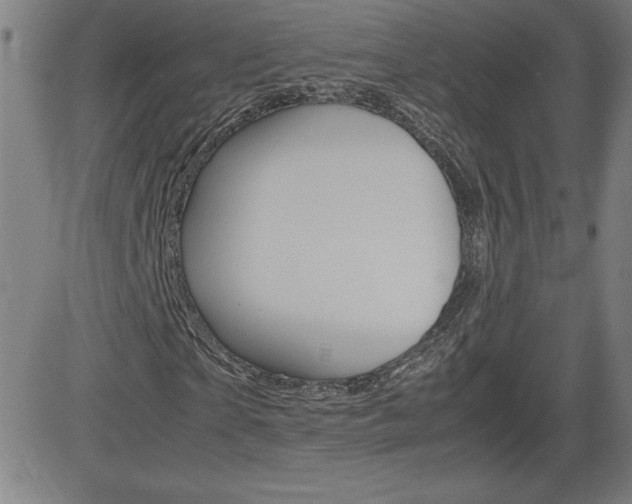 X0000083030865200702020915