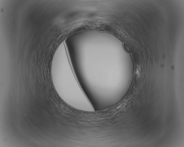 X0000083030867200702020915