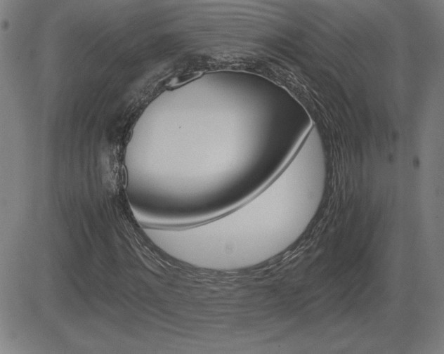 X0000083030868200702020915