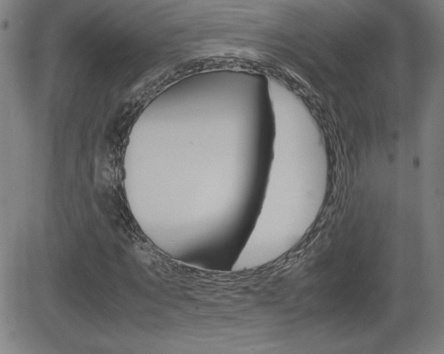 X0000083030869200702020915