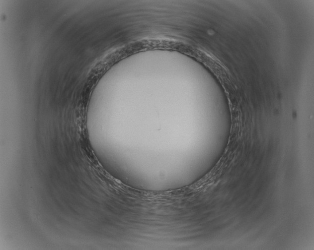 X0000083030870200702020915