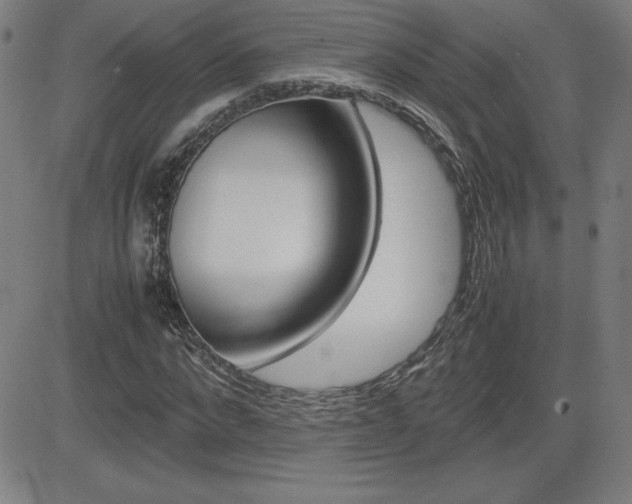 X0000083030872200702020915