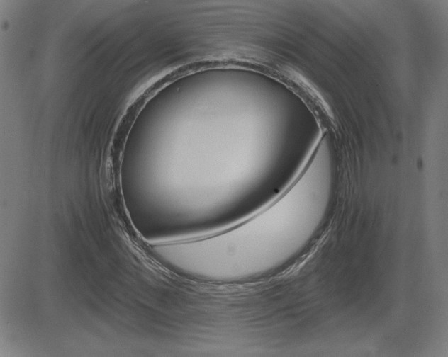 X0000083030876200702020915