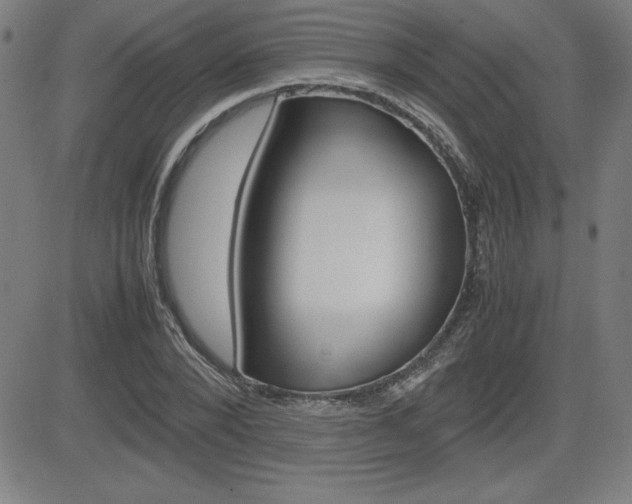 X0000083030880200702020915