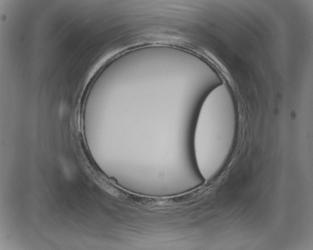 X0000083030891200702020915