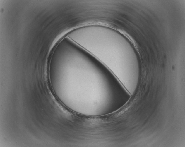 X0000083030894200702020915