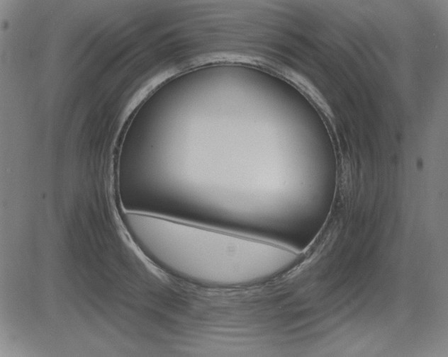 X0000083030898200702020915