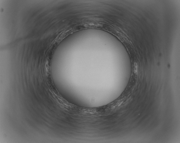 X0000083030915200702020914